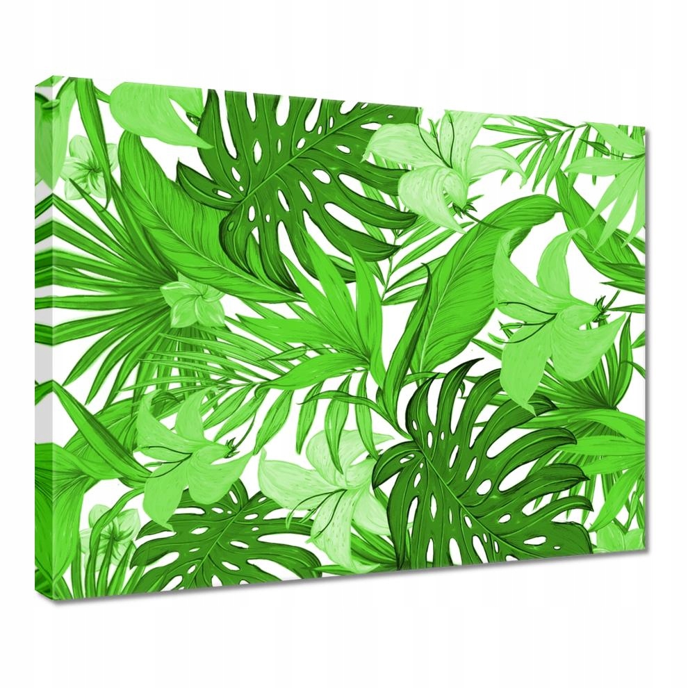 

Obrazy 50x40 Leaves Monstera New look