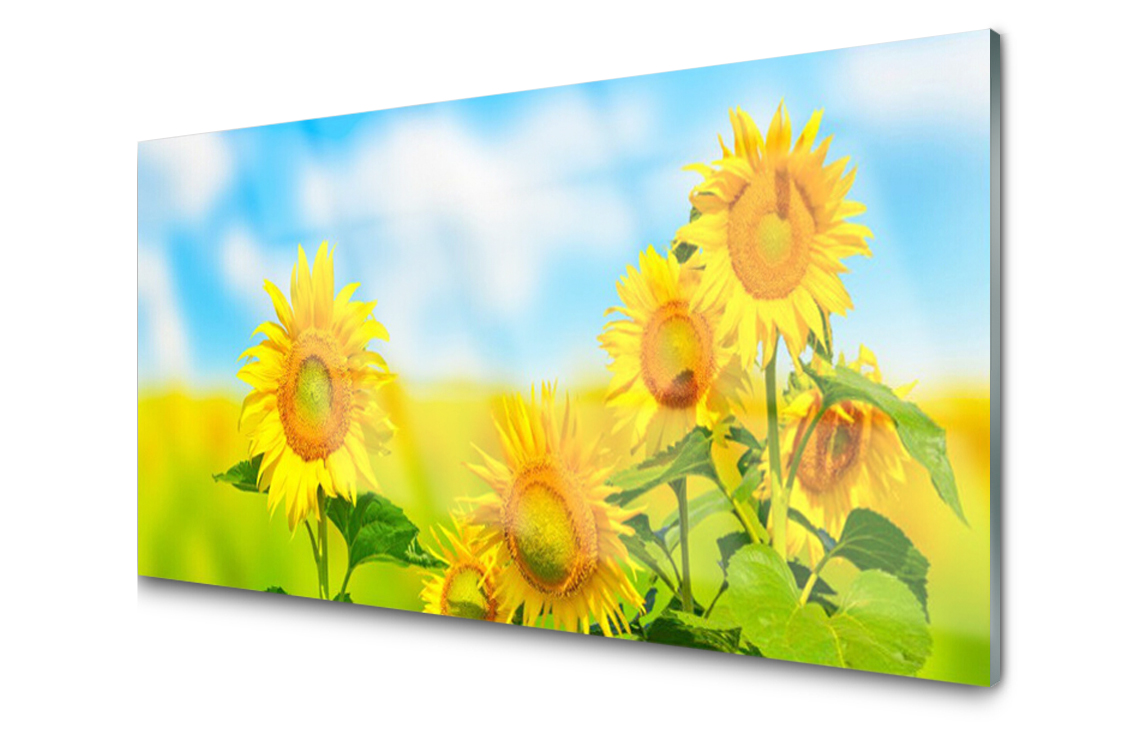 

Panel szklany Płytka Słonecznik Kwiaty 140x70
