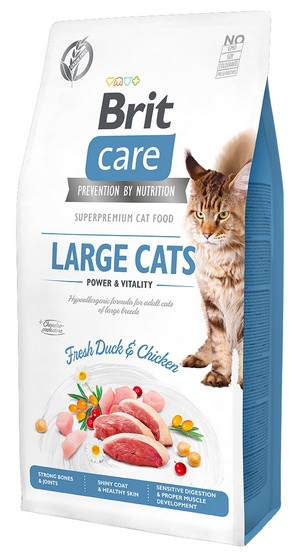 Levně Brit Care Cat Grain Free Large Cats Power & Vitality 2 kg