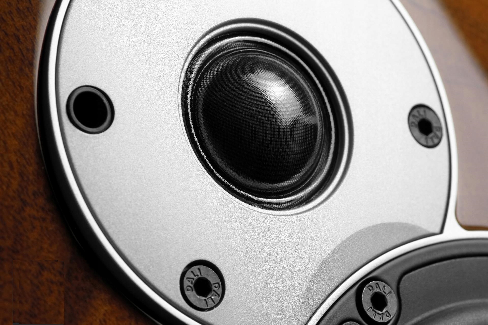 DALI MENUET SE WILD WALNUT Z EKSKLUZYWNYM WYKOŃCZENIEM, MAŁE Z WIELKĄ KLASĄ Model Menuet SE