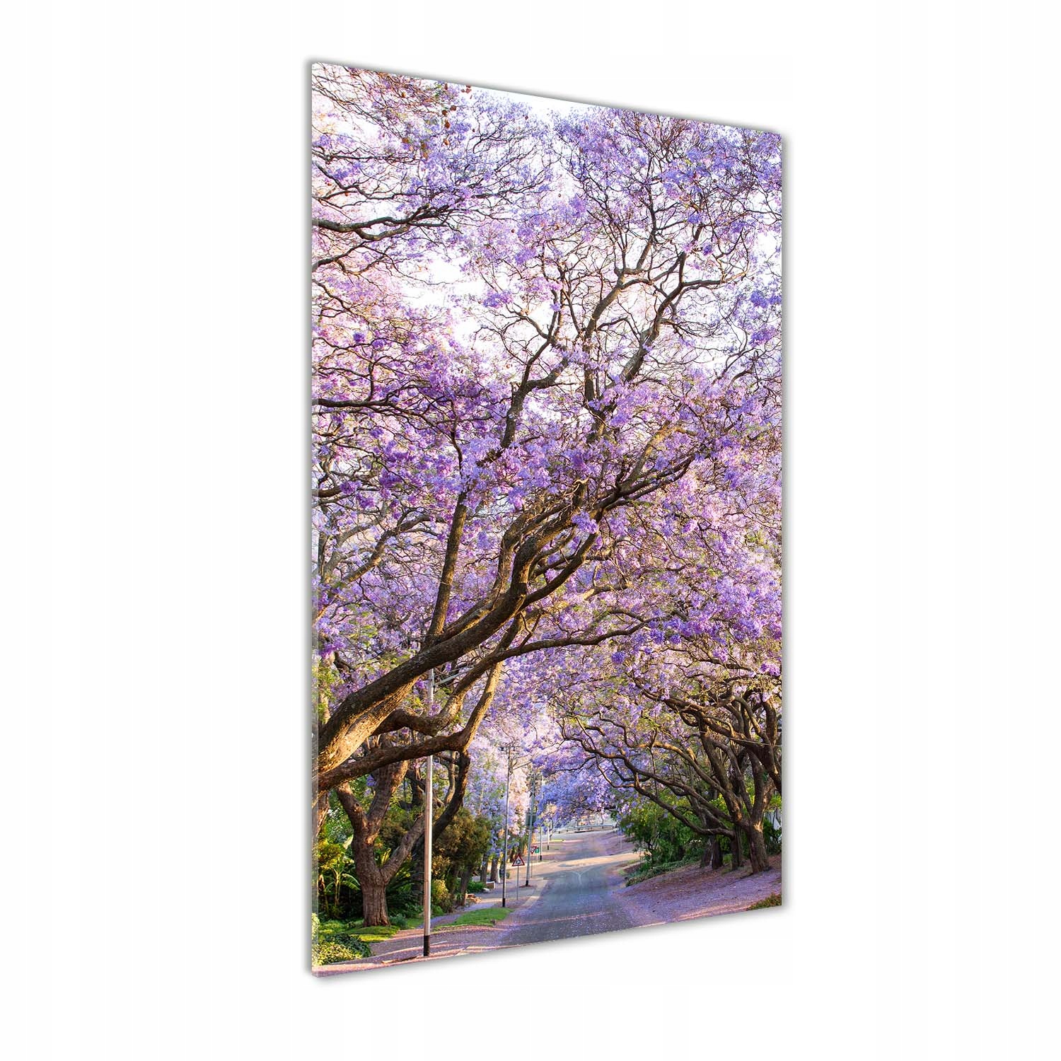 

Foto obraz na szkle Ścieżka jakaranda 70x140 cm