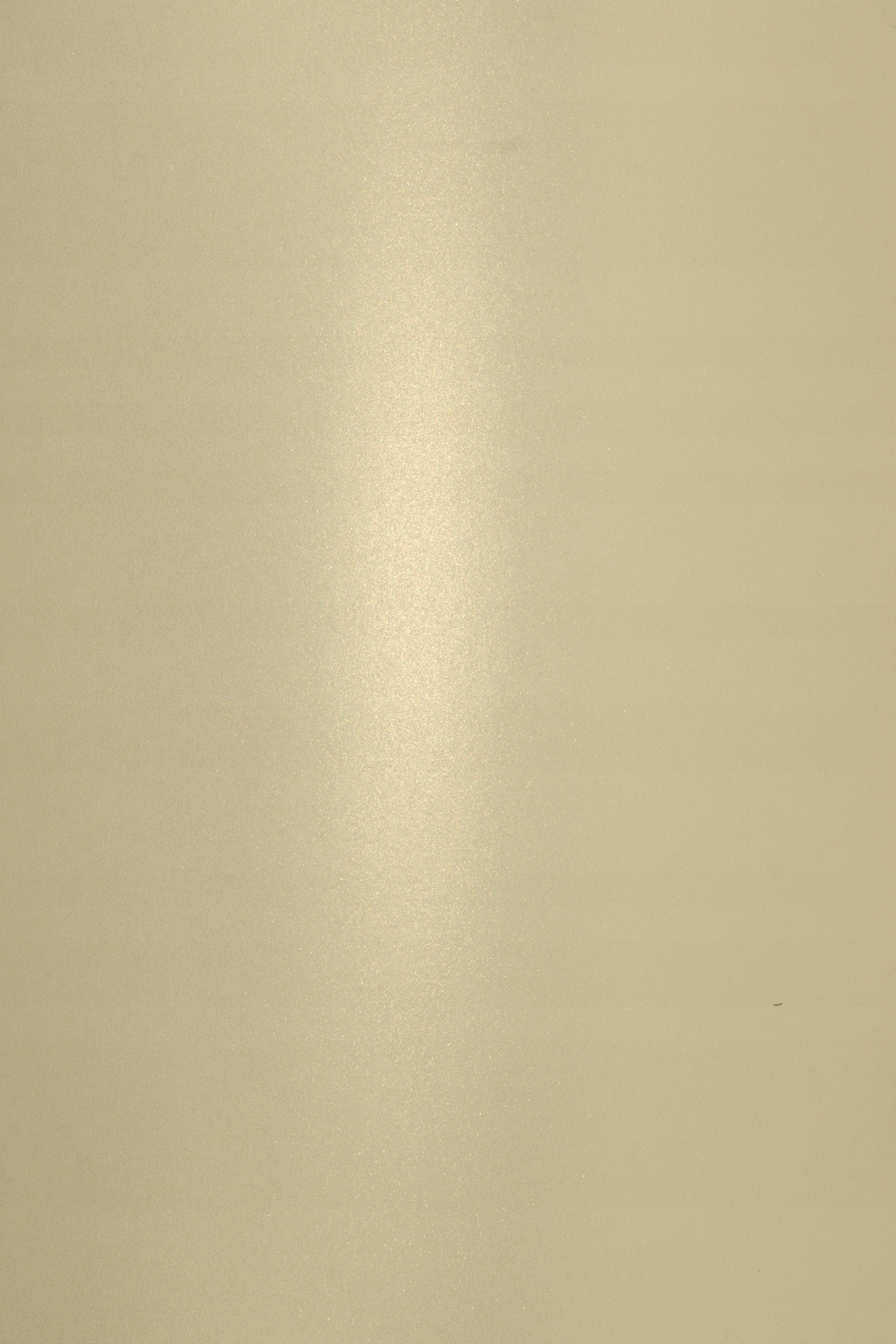 

Papier perłowy Aster Metallic 120g waniliowy 10A4