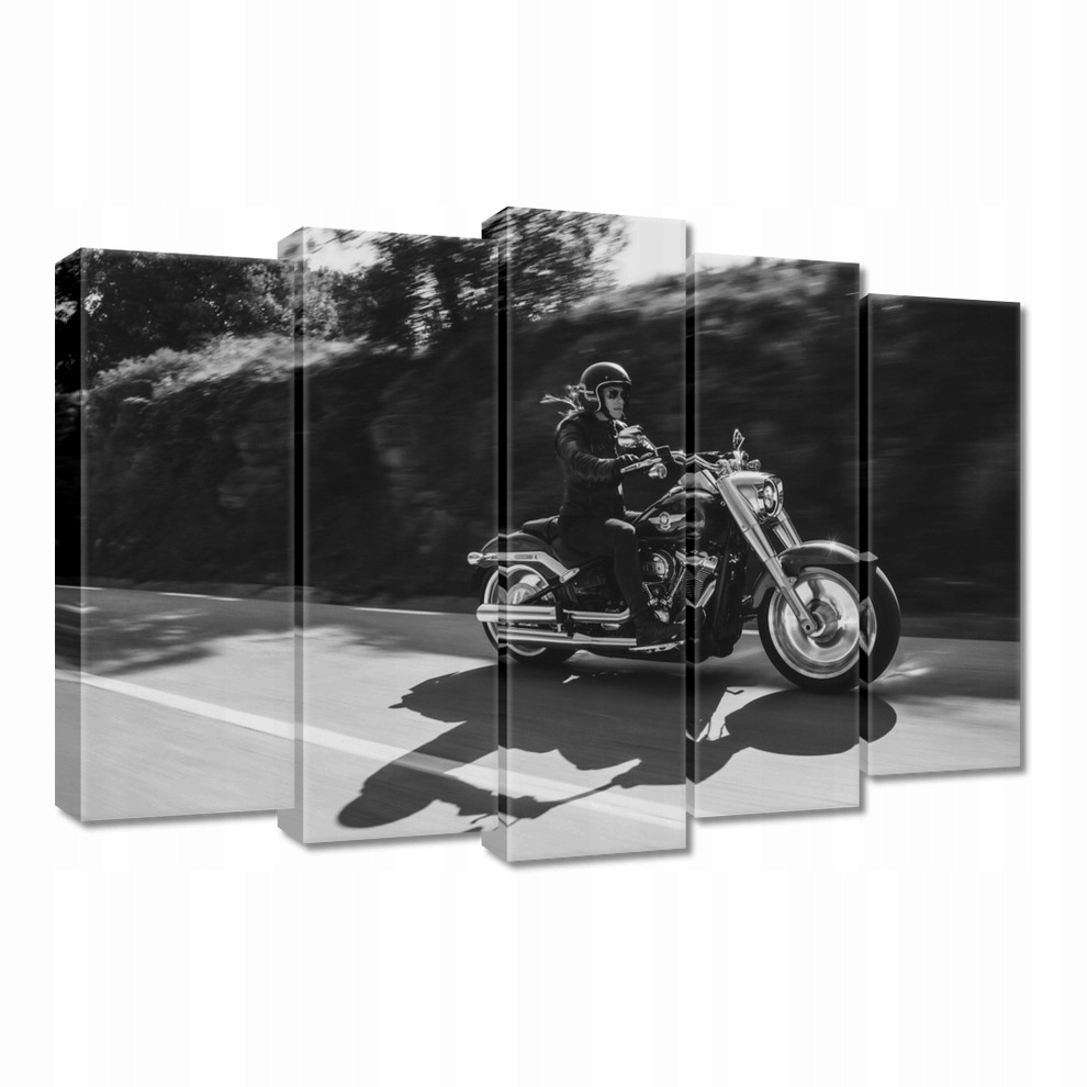 

Obrazy 70x50 Harley Davidson Motocykl