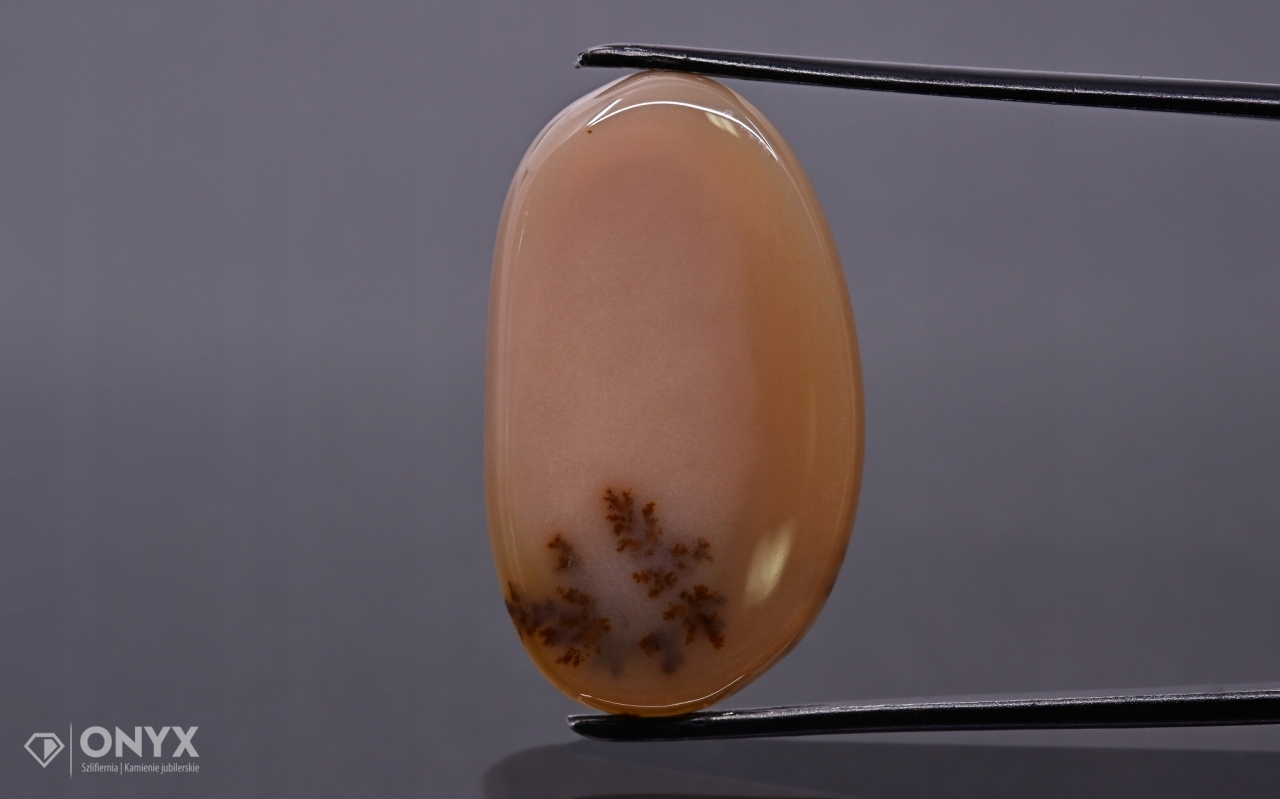 Dendritový achát z Kazachstánu nepravidelná destička