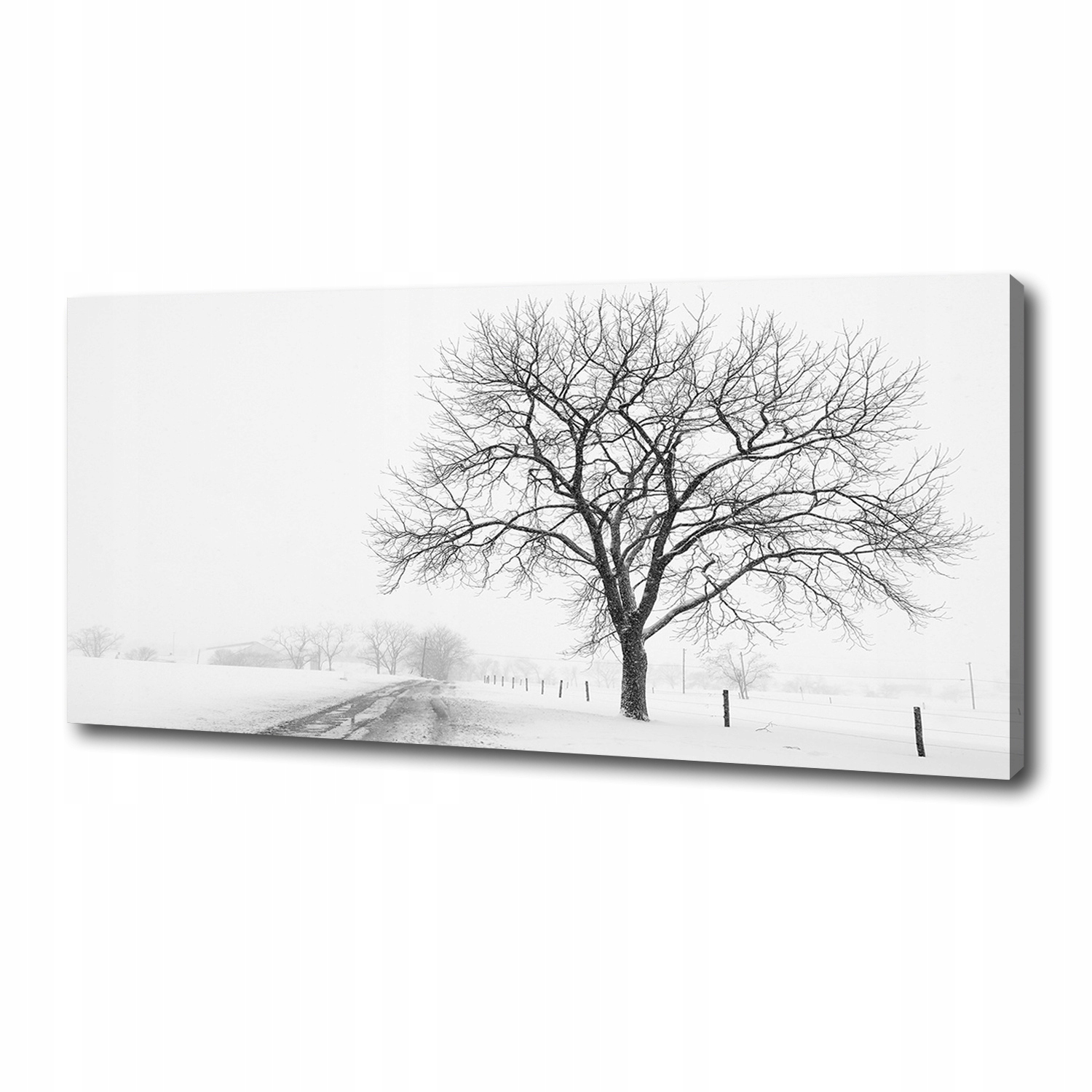 

Foto obraz canvas na ścianę Drzewo zimą 125x50 cm