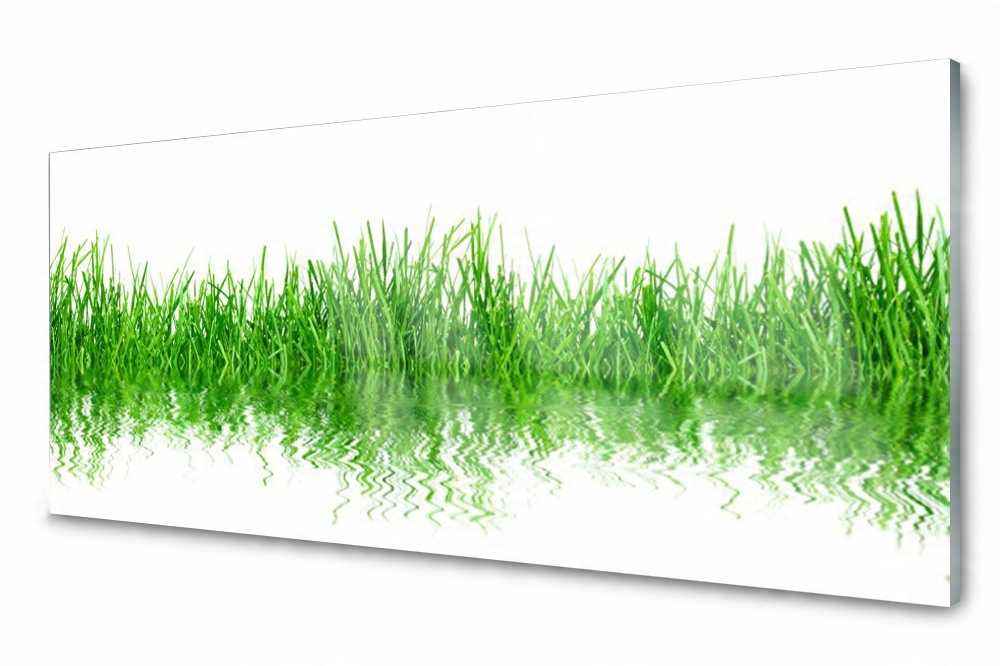 

Panel szklany do kuchni Trawa Roślina 125x50