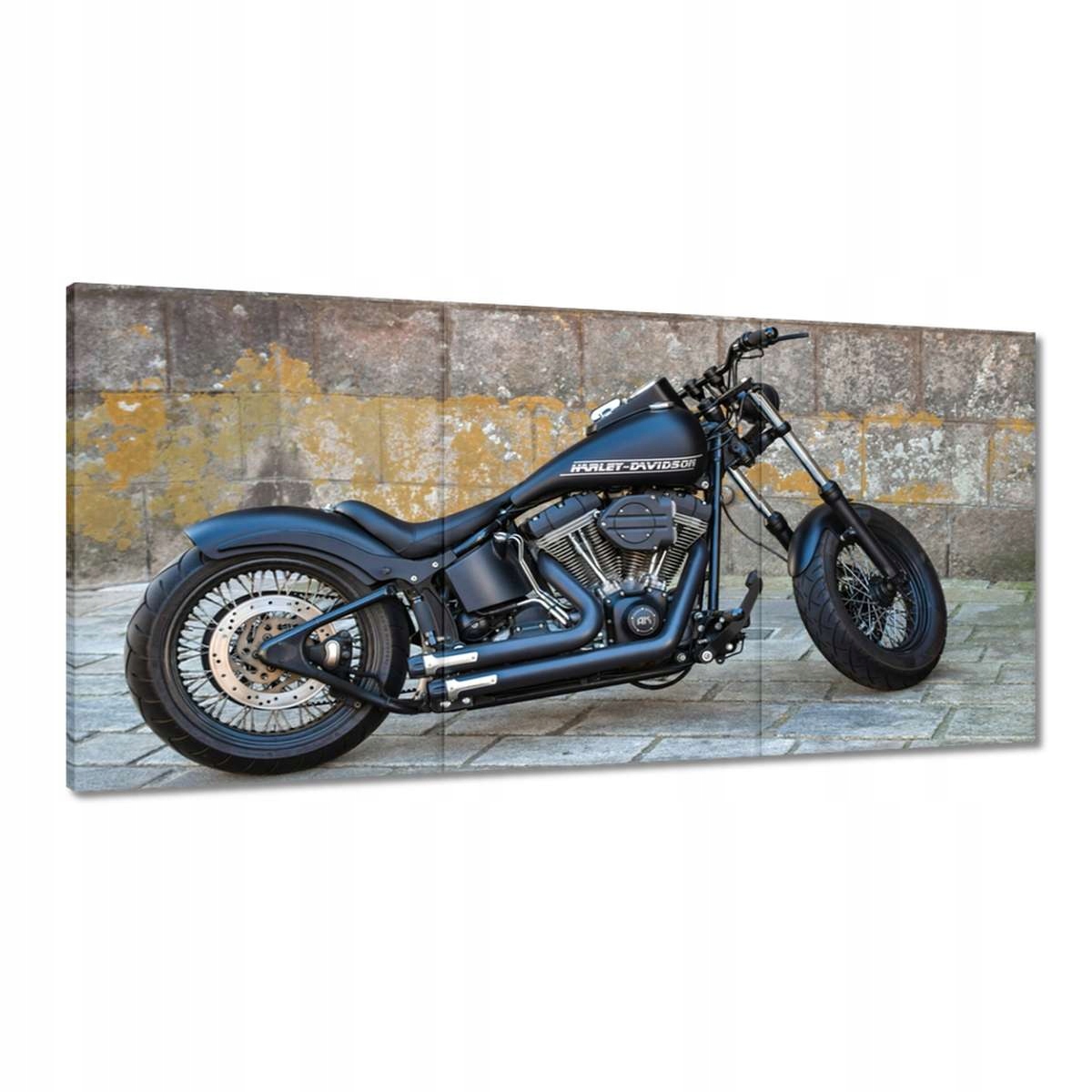 Obrazy 180x90 Harley Davidson Motocykel