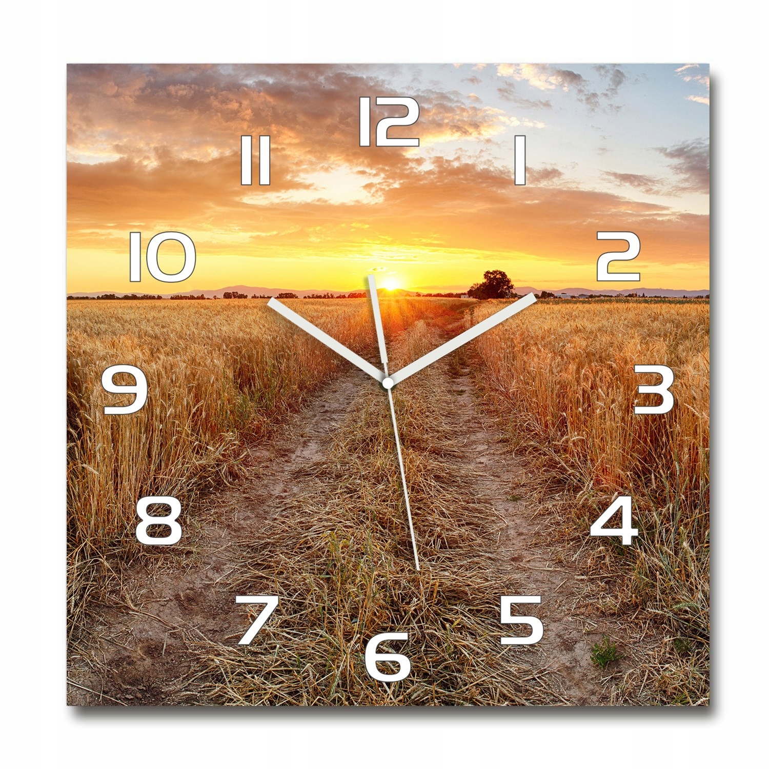 

Duży zegar szklany do salonu Pole pszenicy 60x60cm