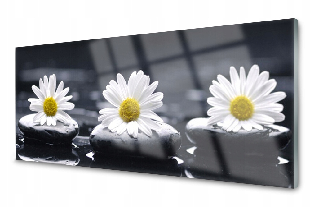 

Panel szklany do kuchni Stokrotka Roślina 125x50