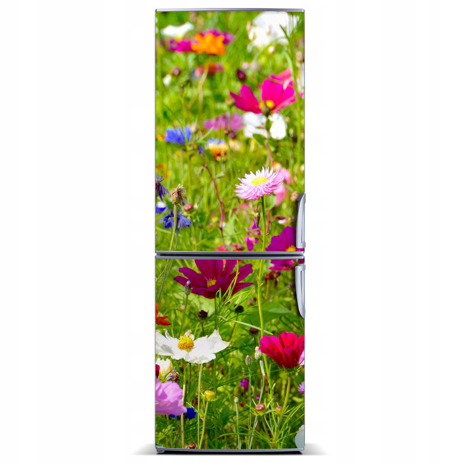 

Foto Magnes Tapeta na lodówkę Polne kwiaty 60x180
