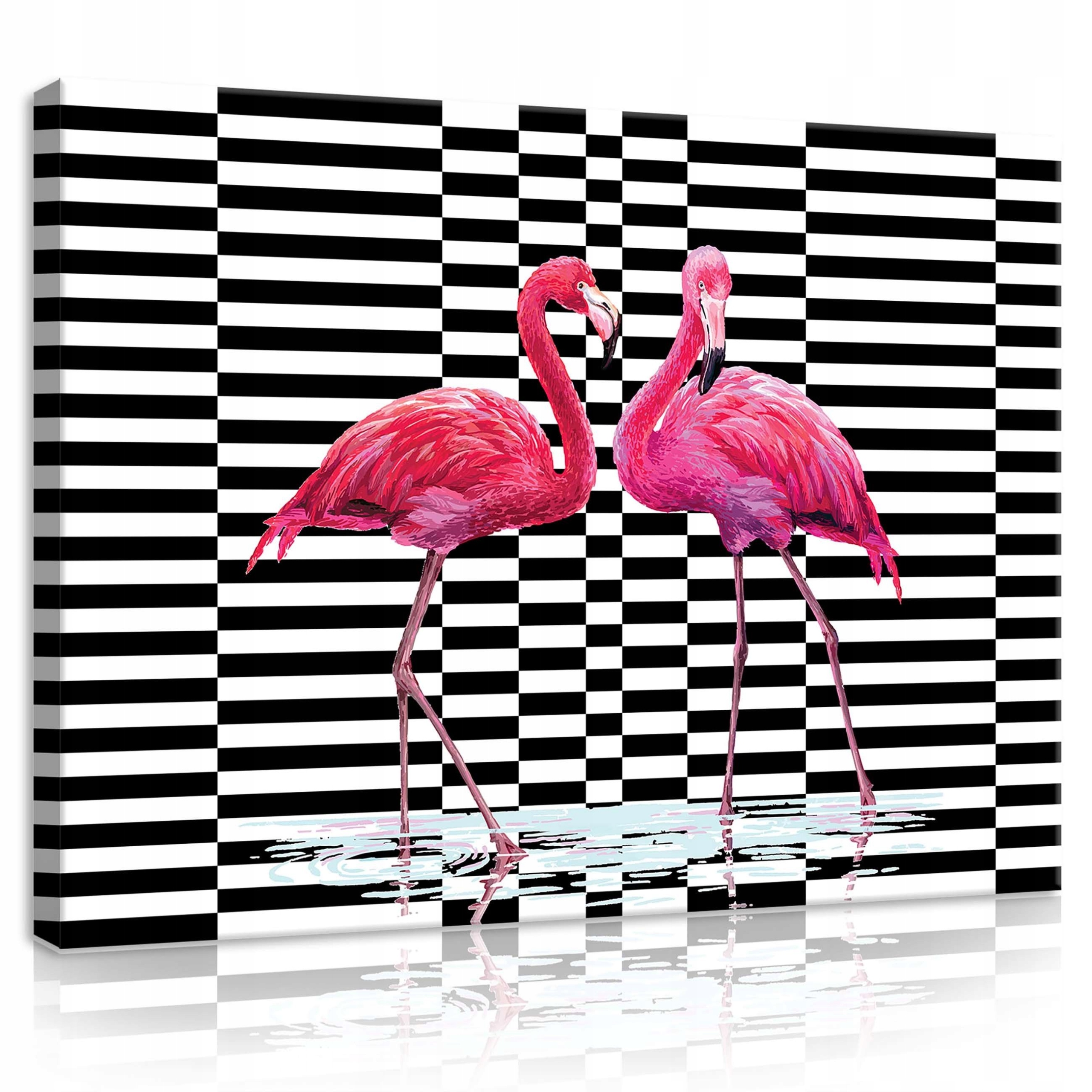 Obraz 100x75 Plameňák Růžový Černobílý Pruhy Moderní design Tropiky