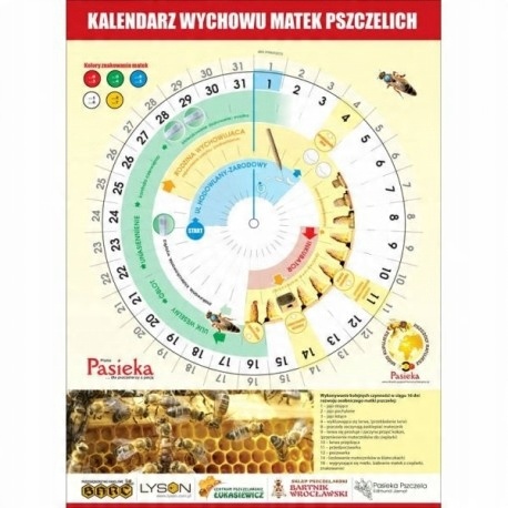 

Kalendarz do wychowu matek pszczelich