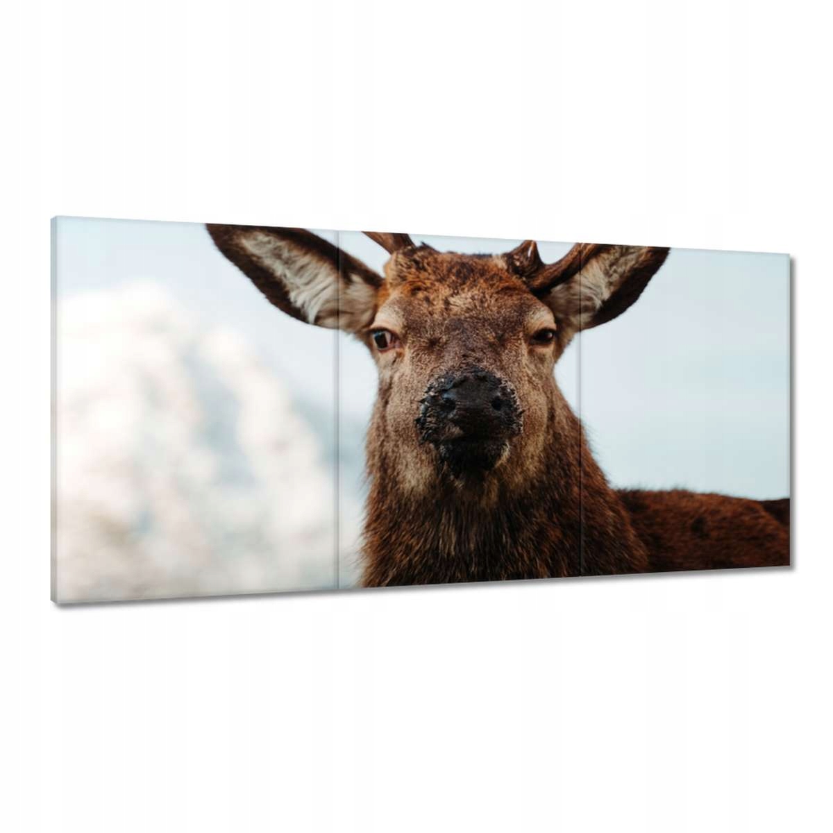 Obrazy 180x90 Jeleň Rogač
