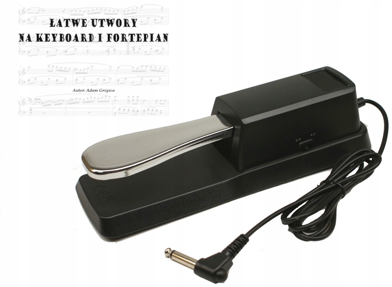 PEDAŁ SUSTAIN + NUTY