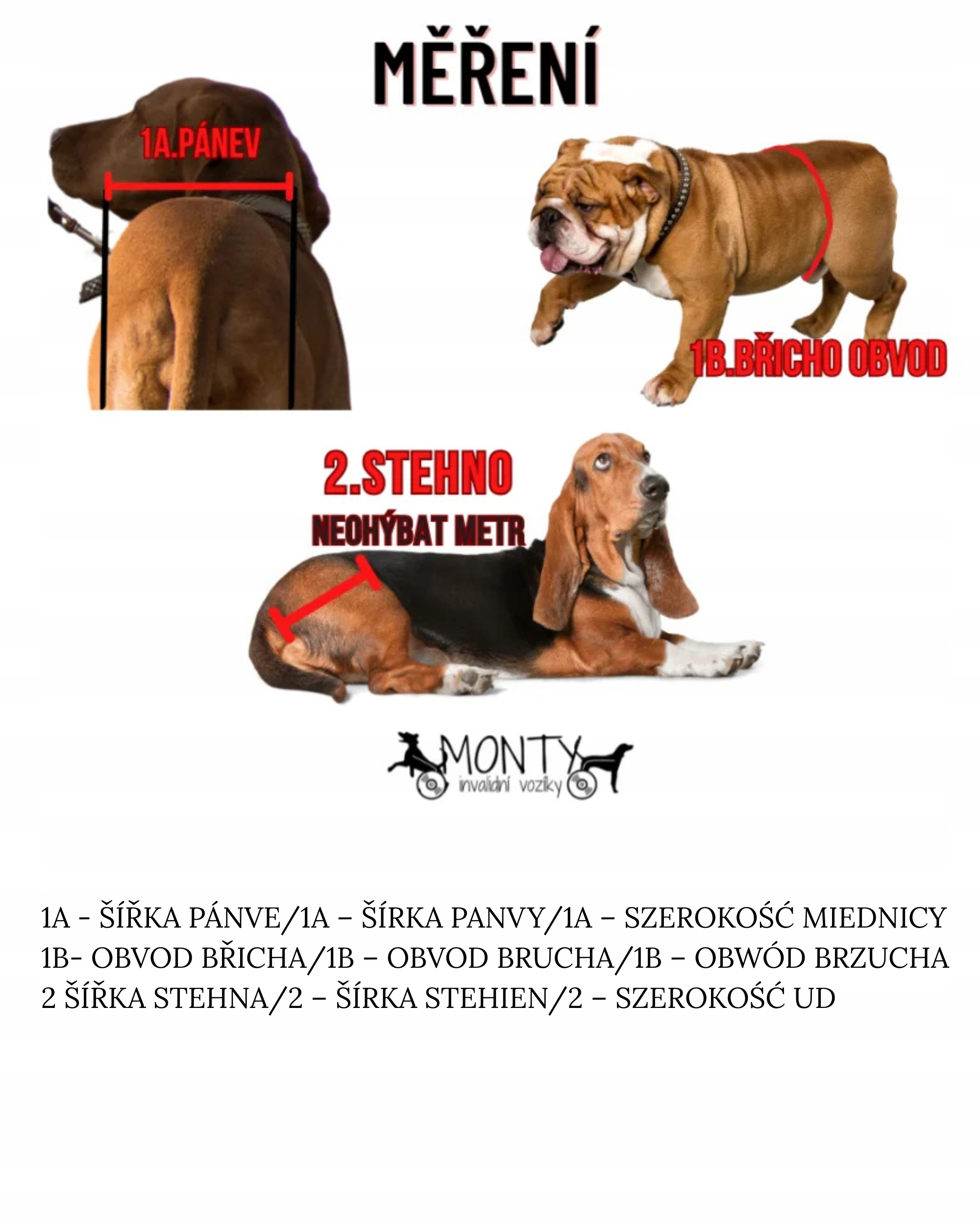 Levně Zvedací postroj pro psa na zadní končetiny XL 21-30 kg