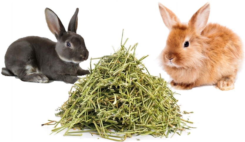 Levně Seno od farmáře, letošní 11 kg sena pro králíka, krmivo pro mini králíčky