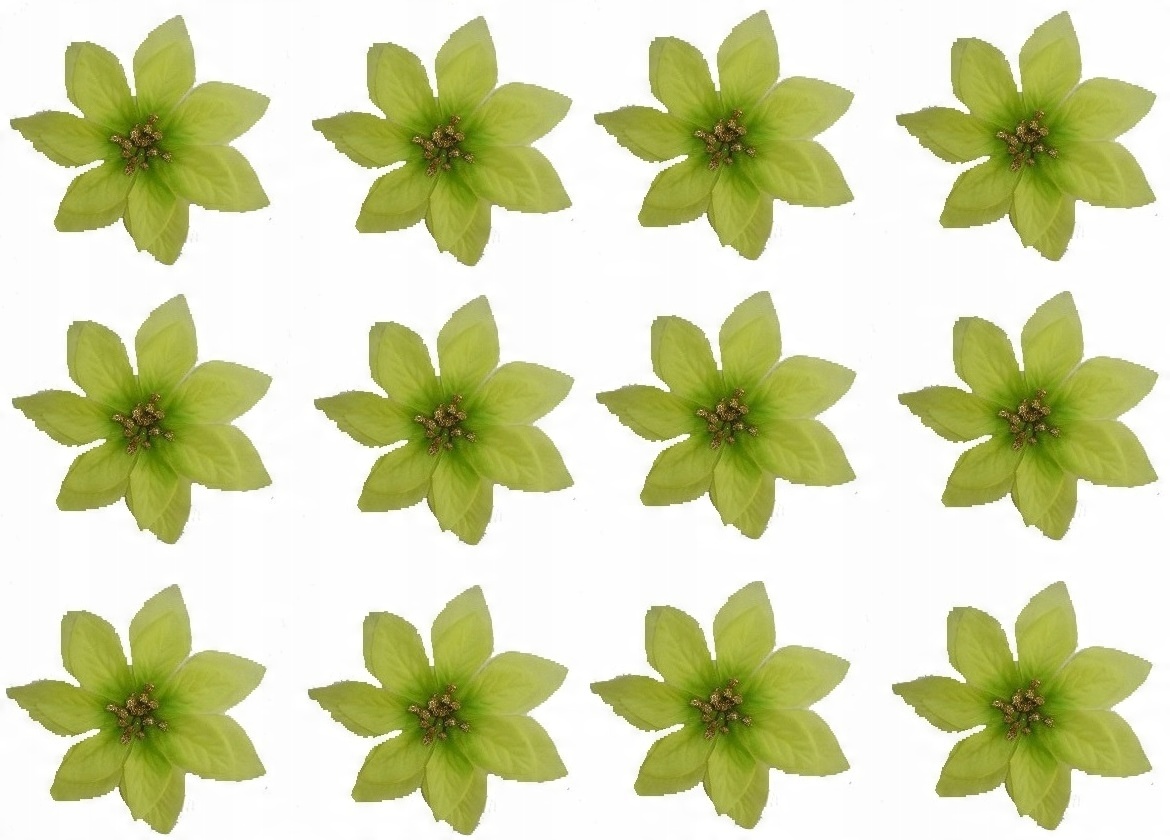 

Zielona Gwiazda Betlejemska 14CM Poinsecja 12 Szt