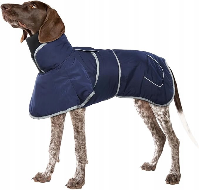 Levně Zimní polovoděodolná bunda pro psa, modrá, velikost XL