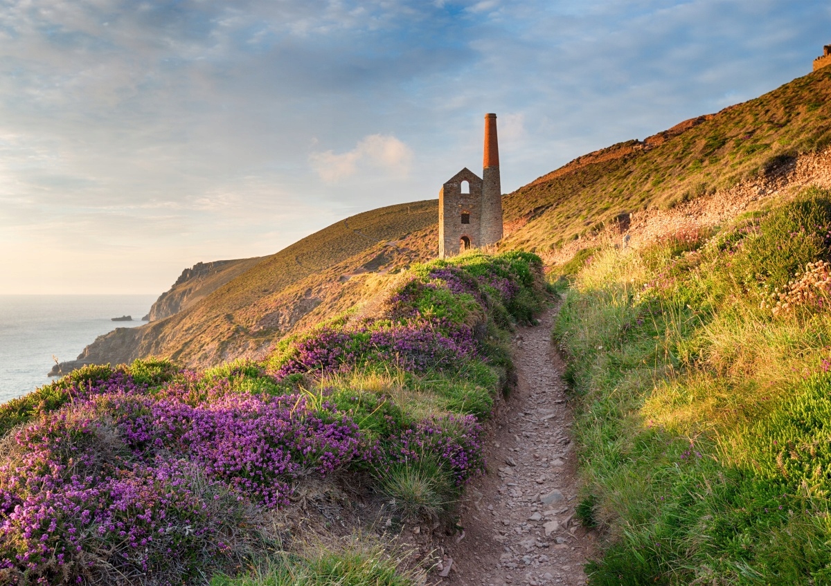 

Fototapeta Flizelinowa Wybrzeże Kornwalii 208x146