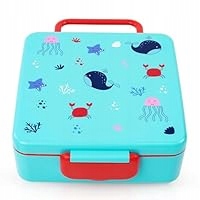 Lunch box BMSInternational 1000 ml