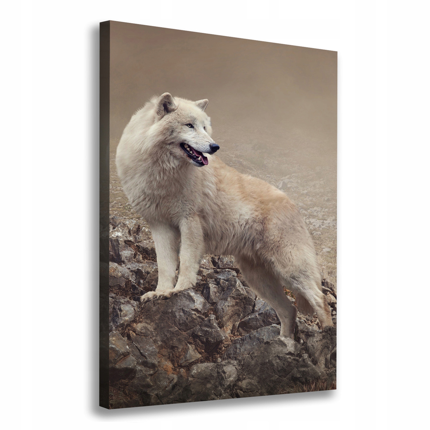 

Foto obraz canvas na ścianę Wilk na skale 70x100cm