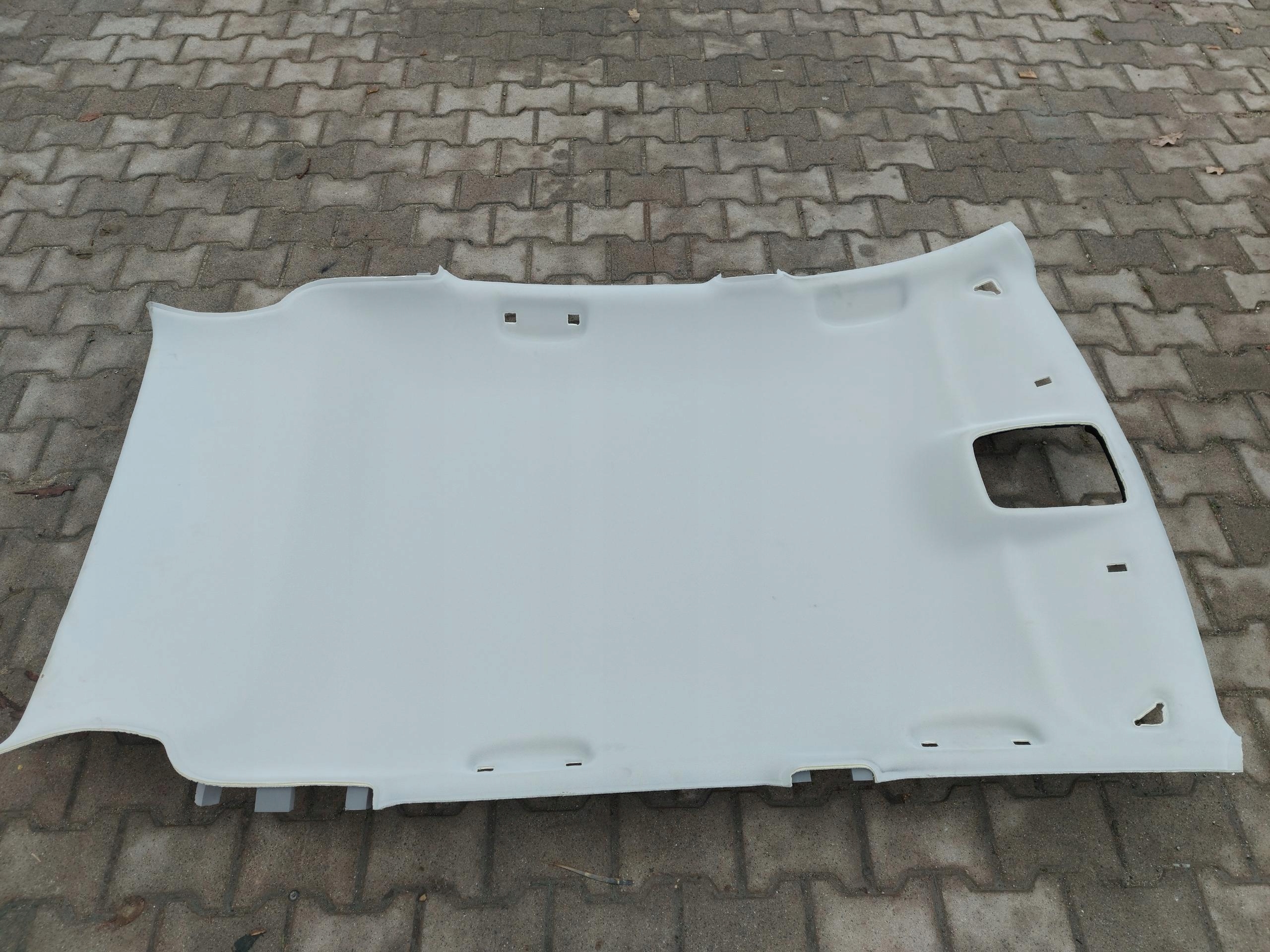 MG ZS CIELO INTERNO 10042798
