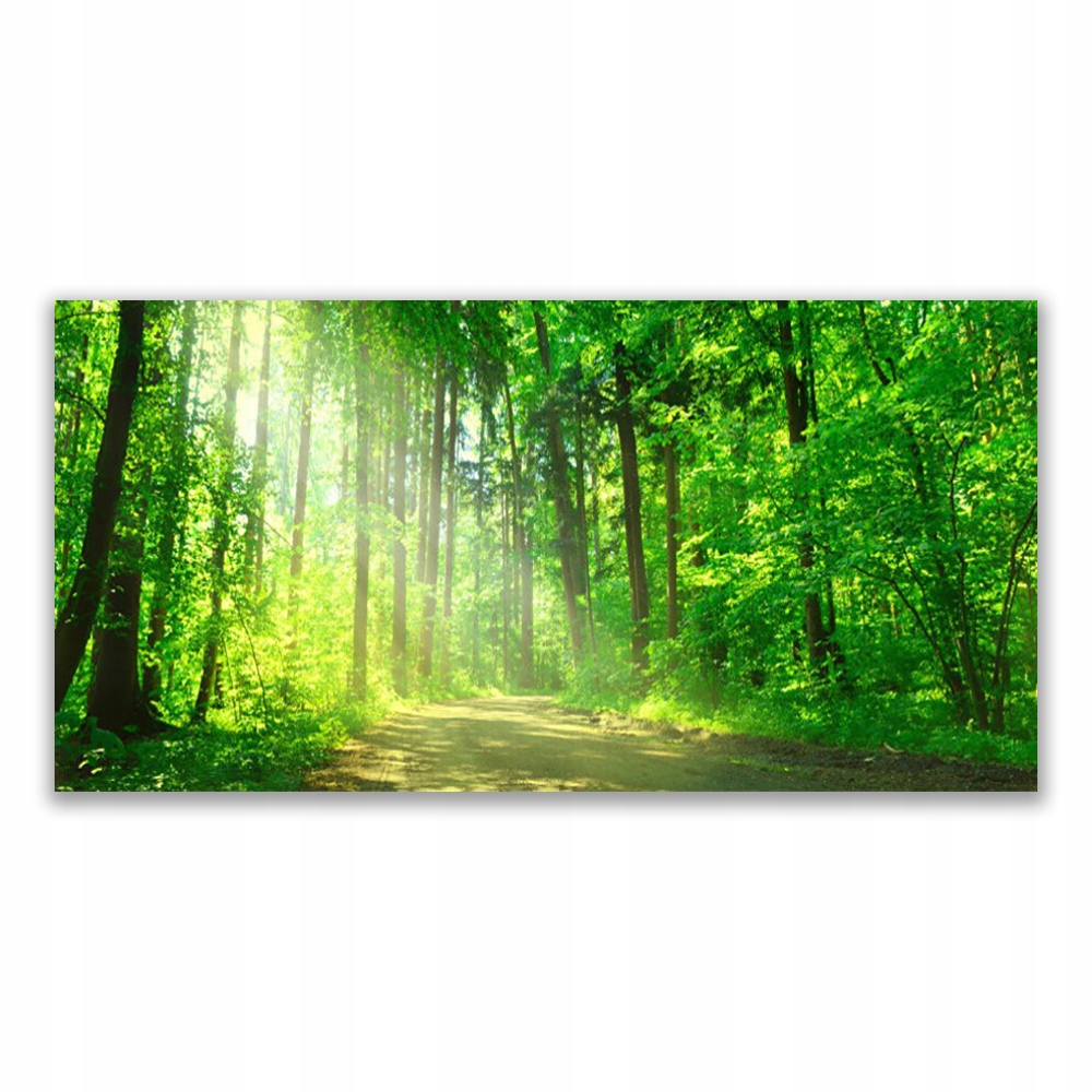 

Fotoobraz wiszący 140x70 Las dróżka Drzewa Natura