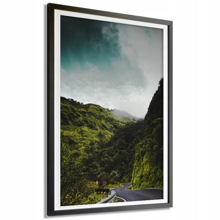 

Plakat Dekoracyjny 40x60cm Krajobraz Lasy