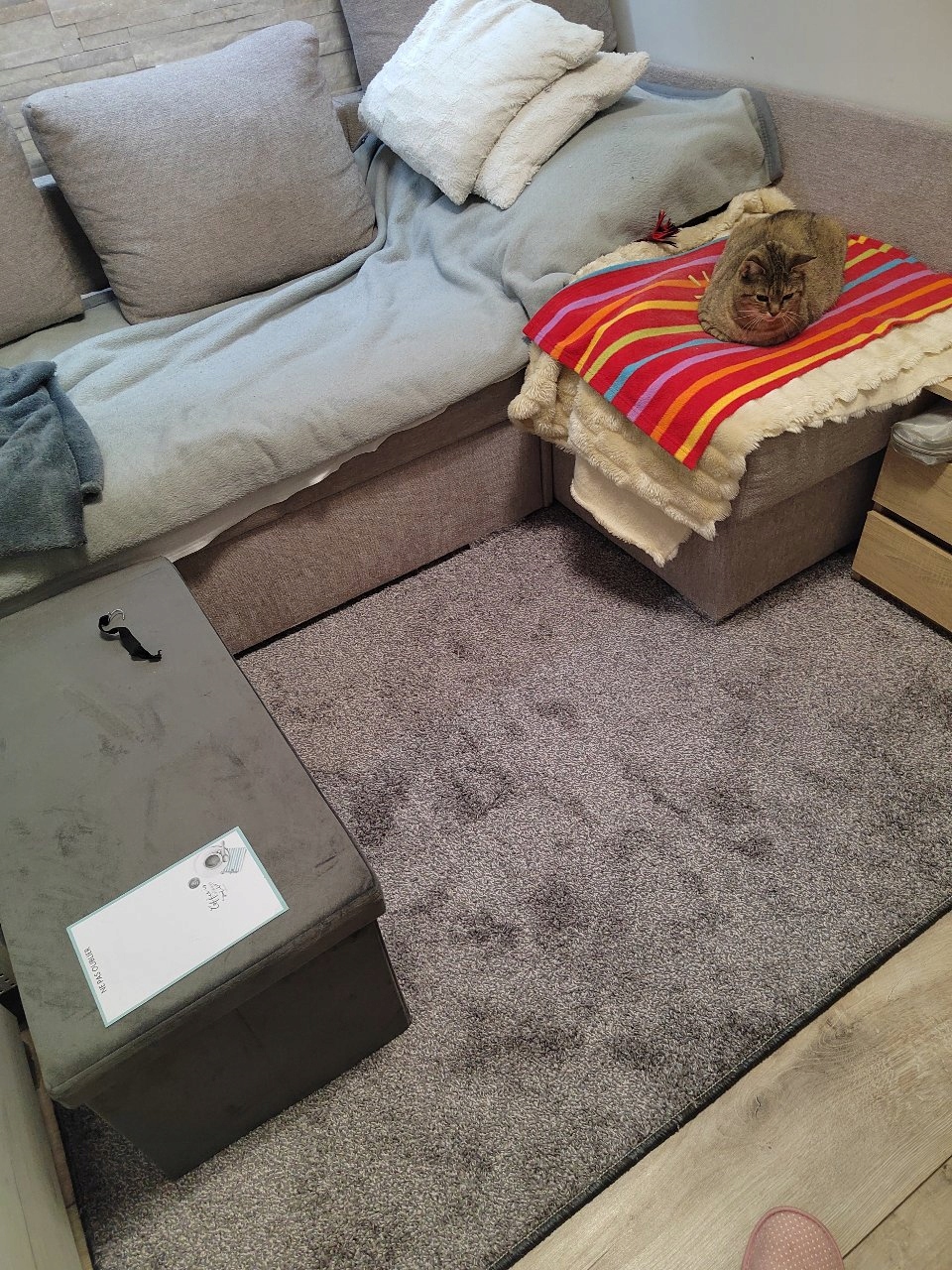 Dywan Skandynawski Szary Miękki 160x230 Aksamit Salon Plamoodporny