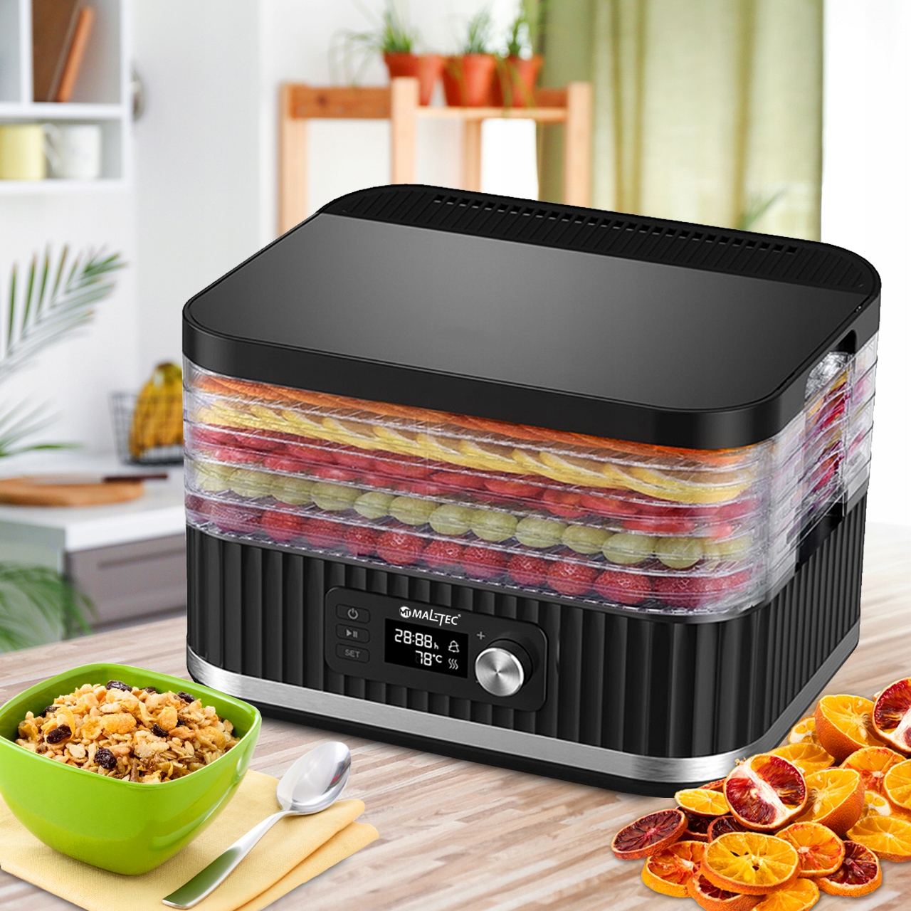 SUSZARKA DO GRZYBÓW OWOCÓW WARZYW SPOŻYWCZA MOCNA 5 SIT REGULACJA 450W Model DryExpert450W