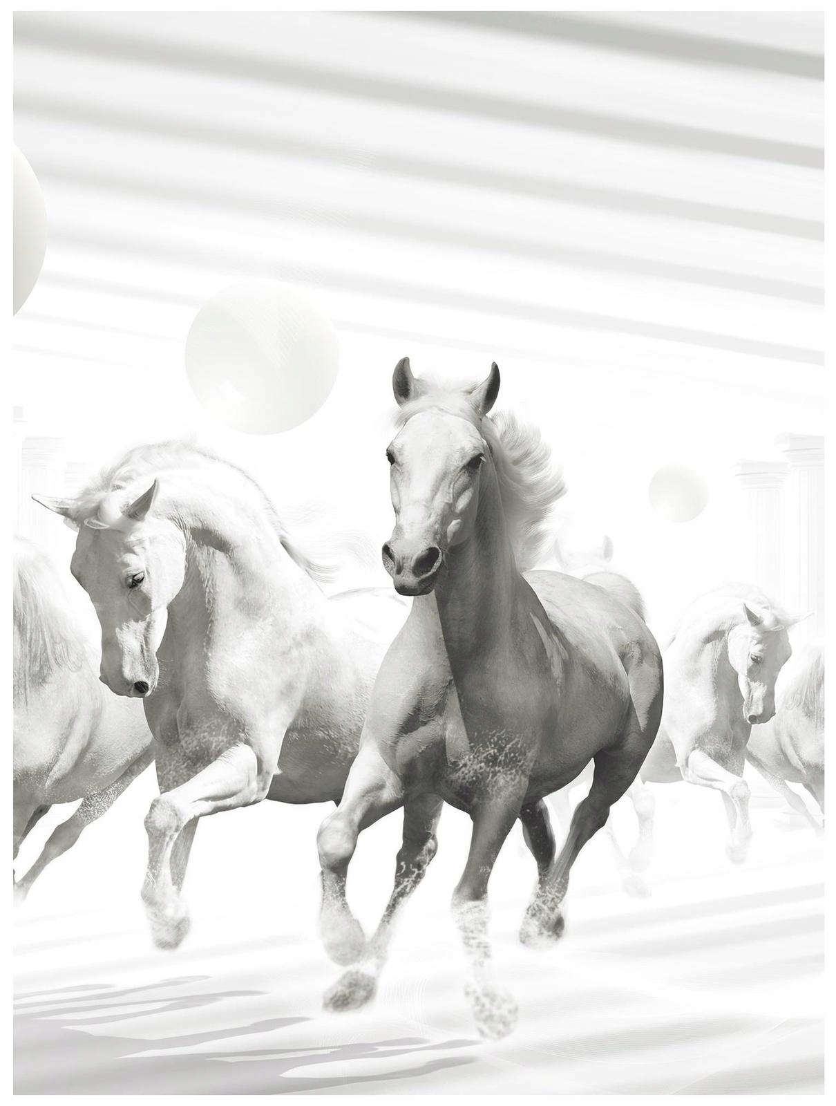 Fototapeta Kůň Koně Galop Příroda Efekt 3D 184x254