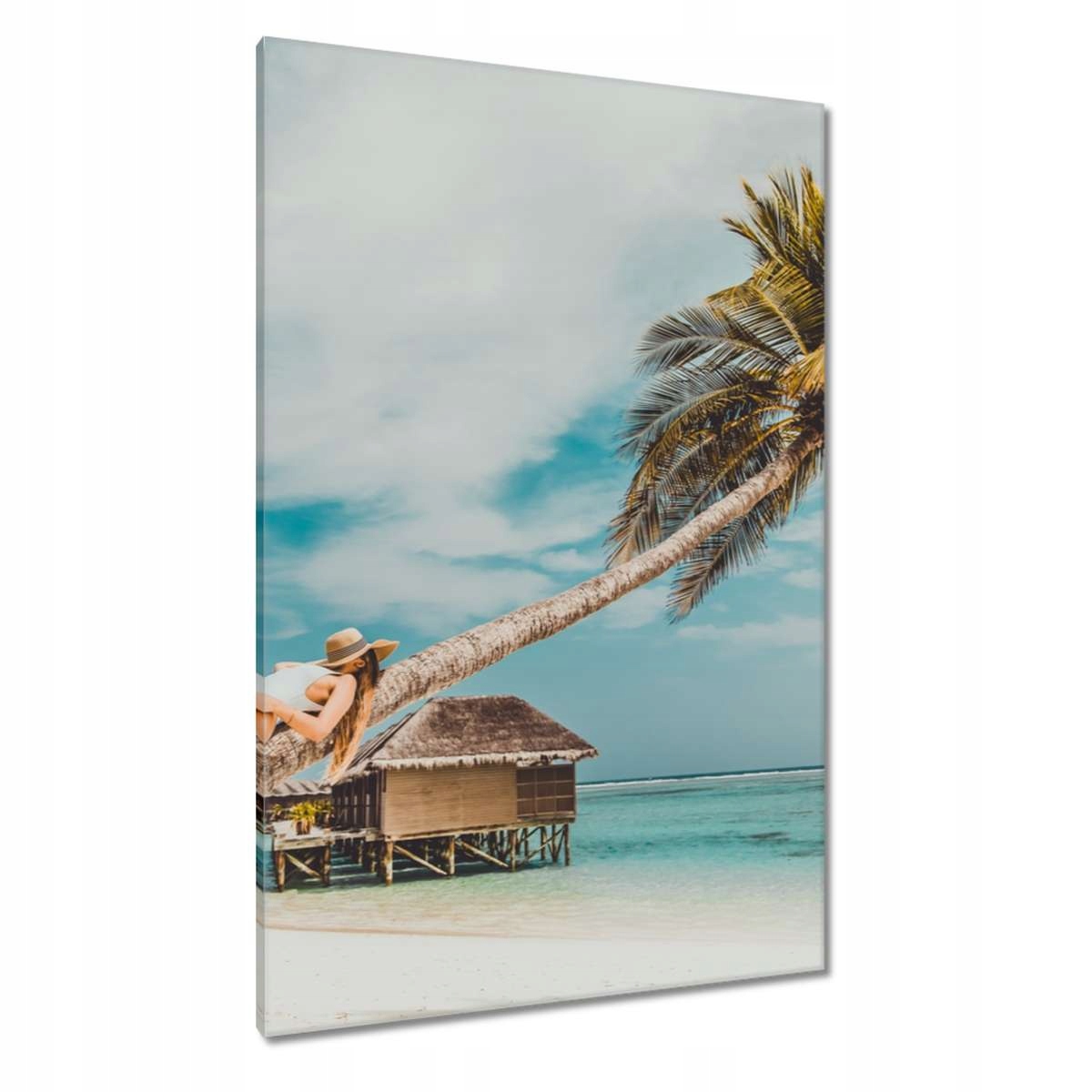 Obrazy 80x120 Krajina Pohled