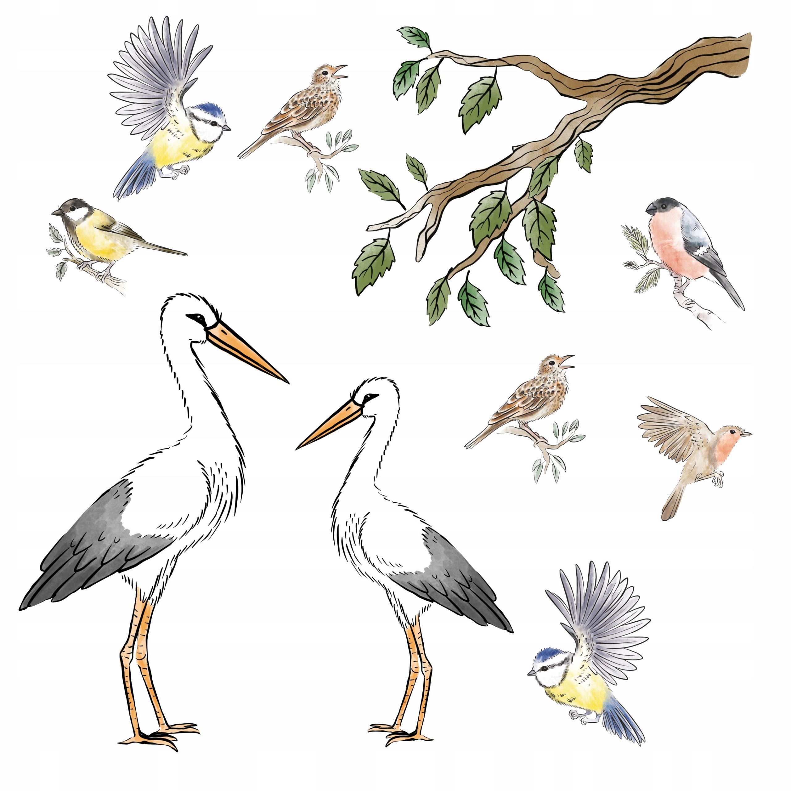 

naklejki dla dzieci na ścianę ścienne ptaki ptak