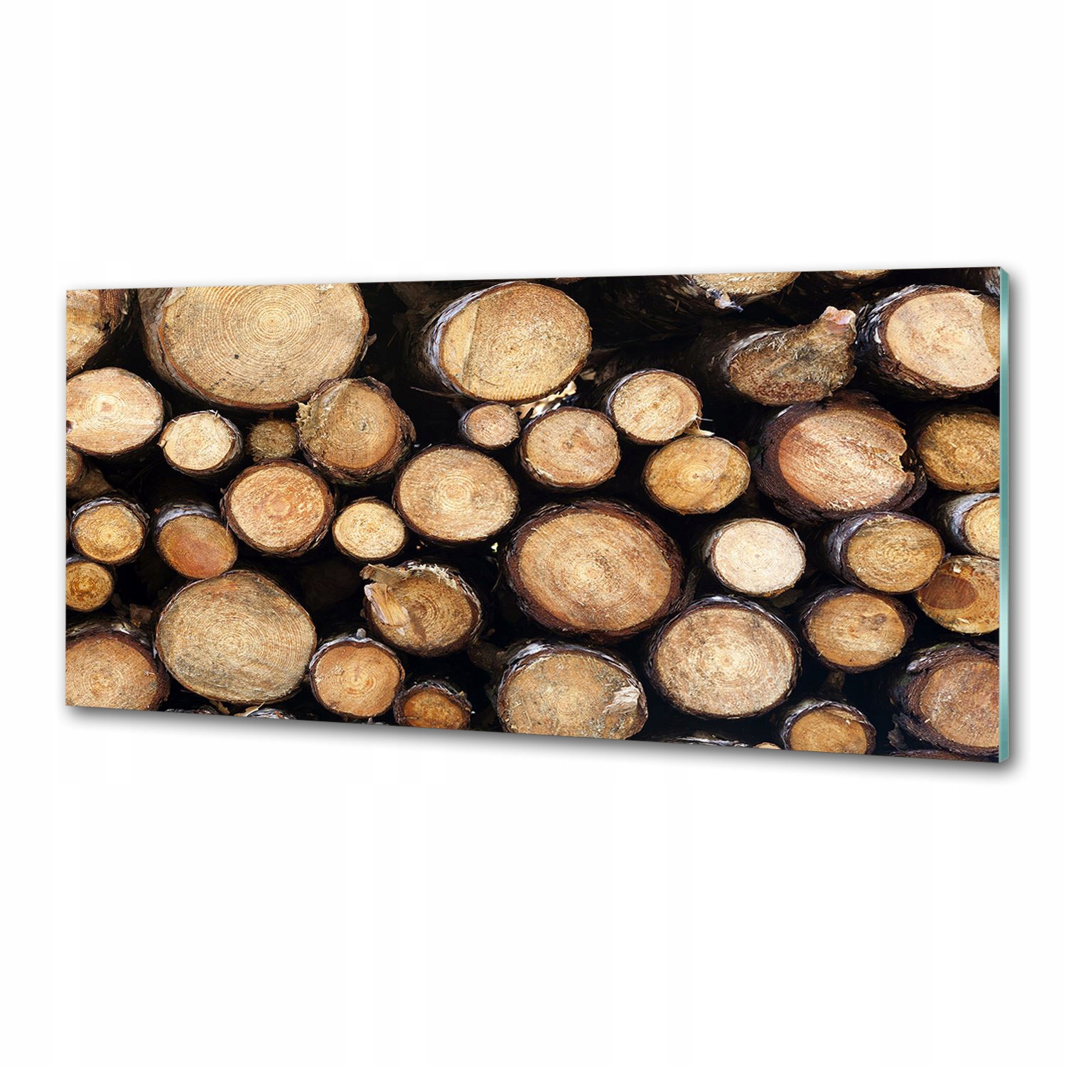 Panel dekor sklo Klody dreva 125x50 cm Lepidlo