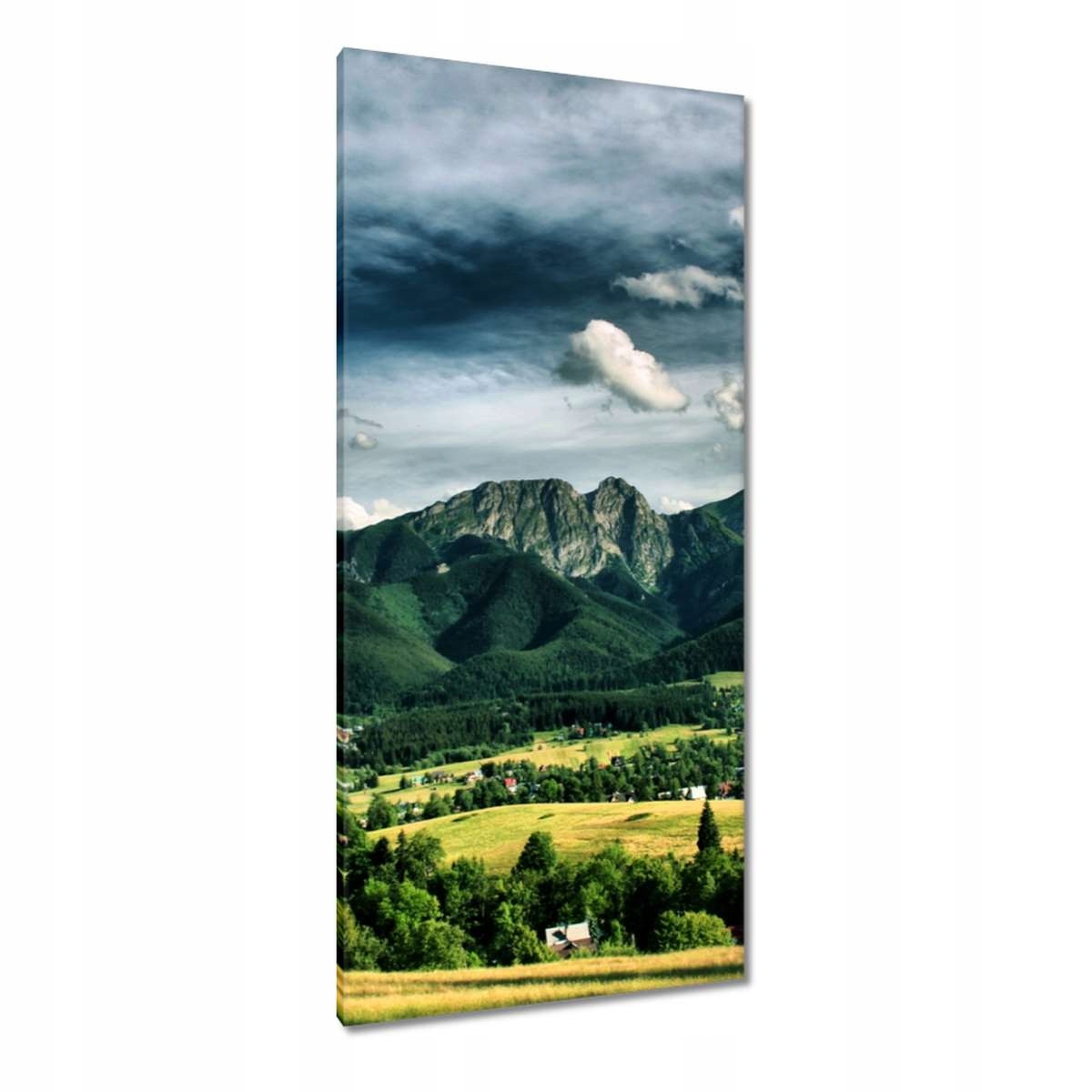 Obrazy 55x115 Tatry