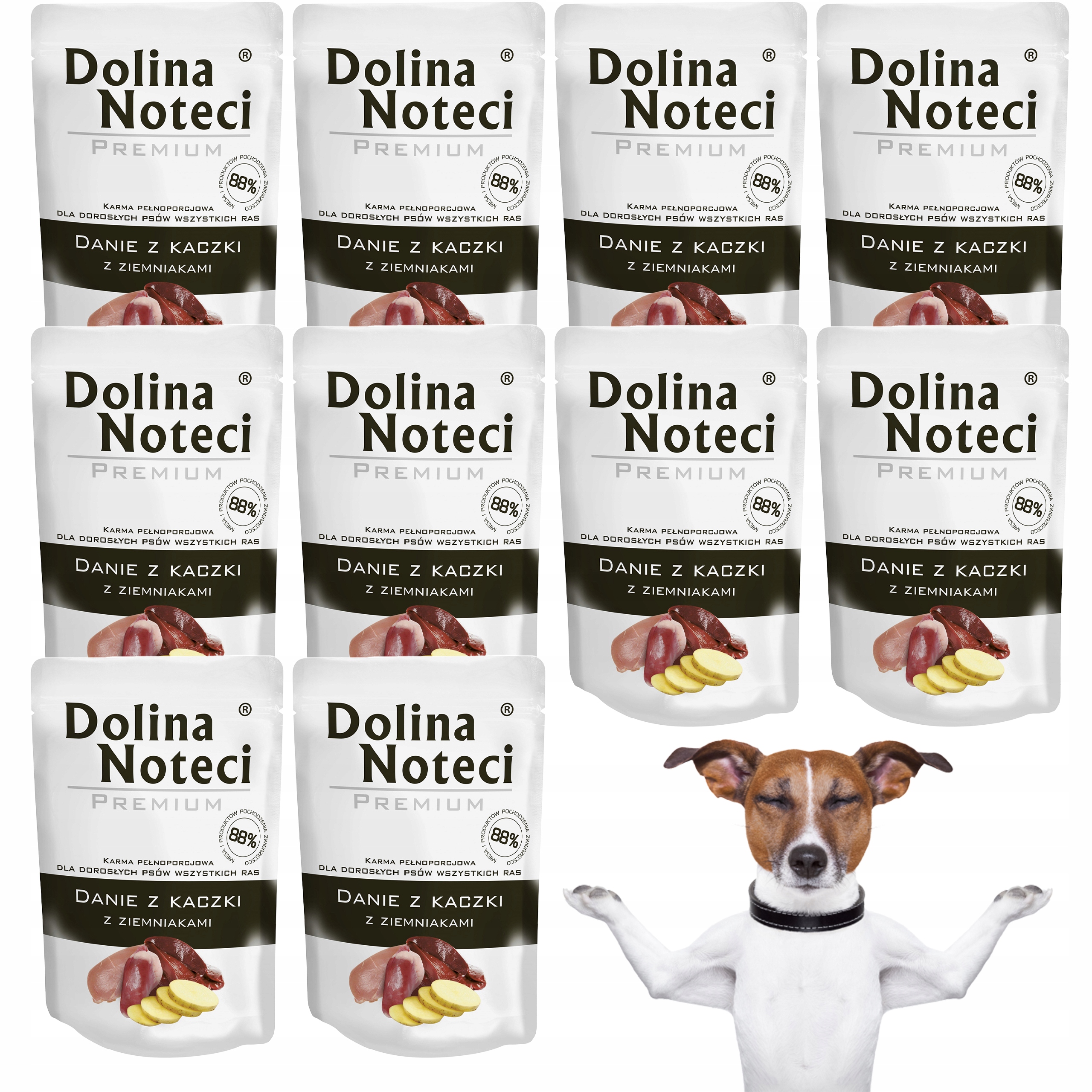 Dolina Noteci Premium Krmivo mokré pro psa pokrm Kachna 10 x 300 g