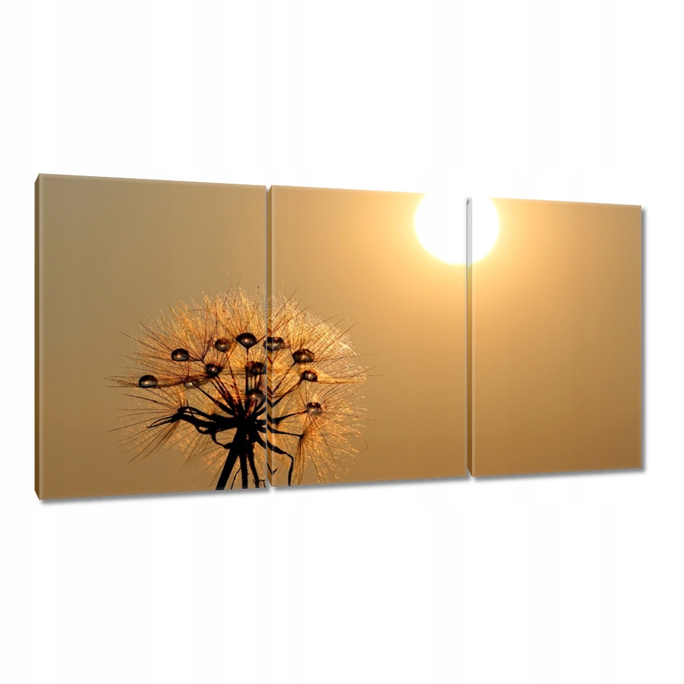 

Obrazy 120x60 Dmuchawiec Kwiat Kwiatki