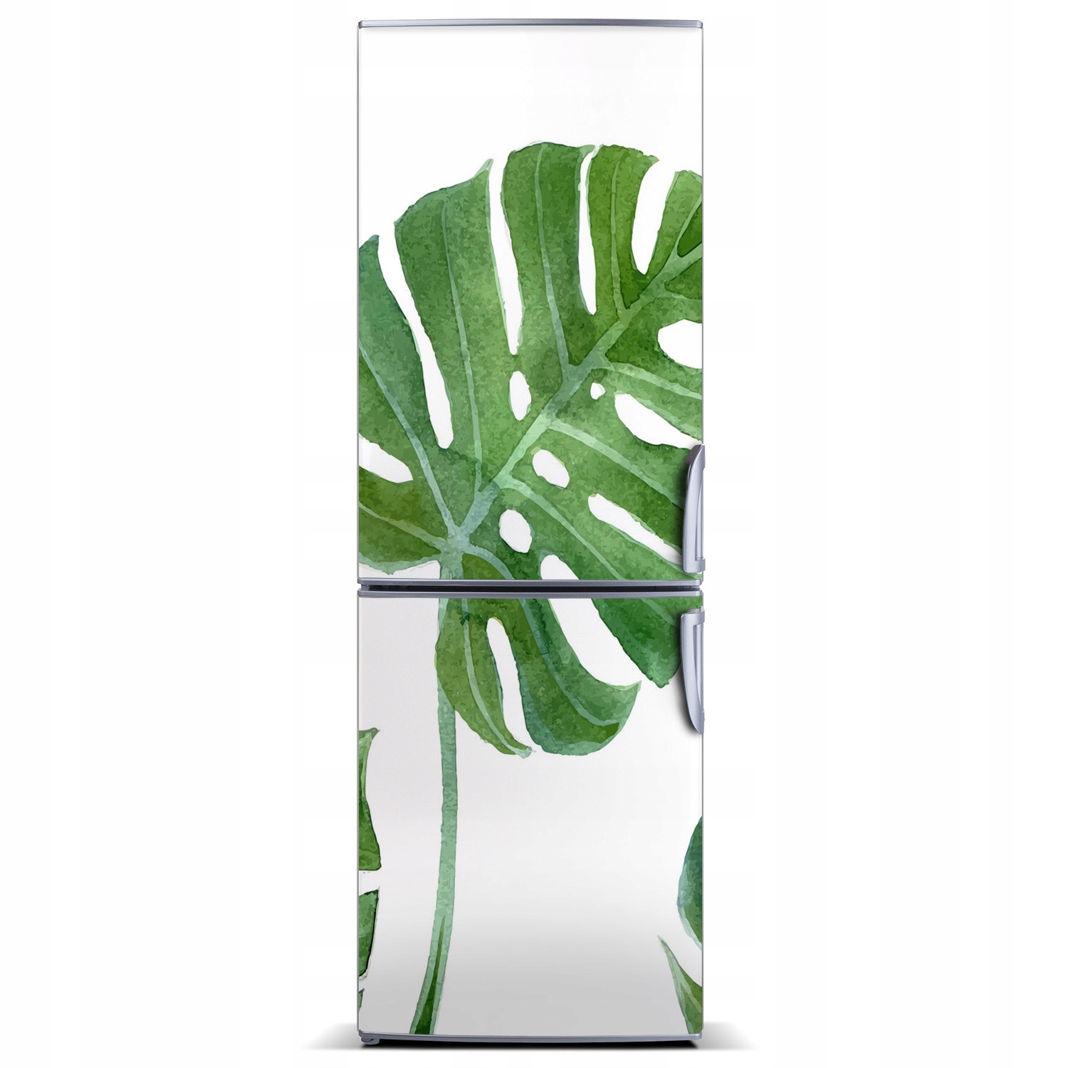 

Magnes fototapety na lodówkę Monstera 60x180