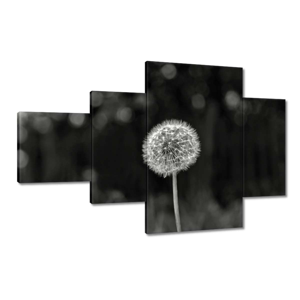 Obrazy 130x80 Pampeliška Makro květina