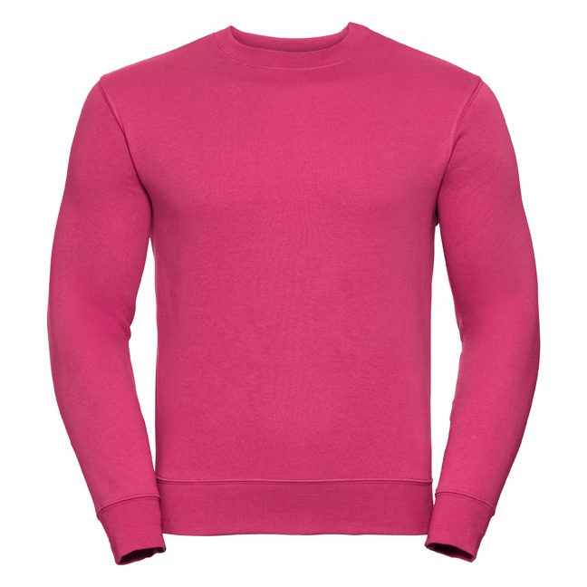 

Męska bluza Authentic Sweat Russell 280g [57] Xs