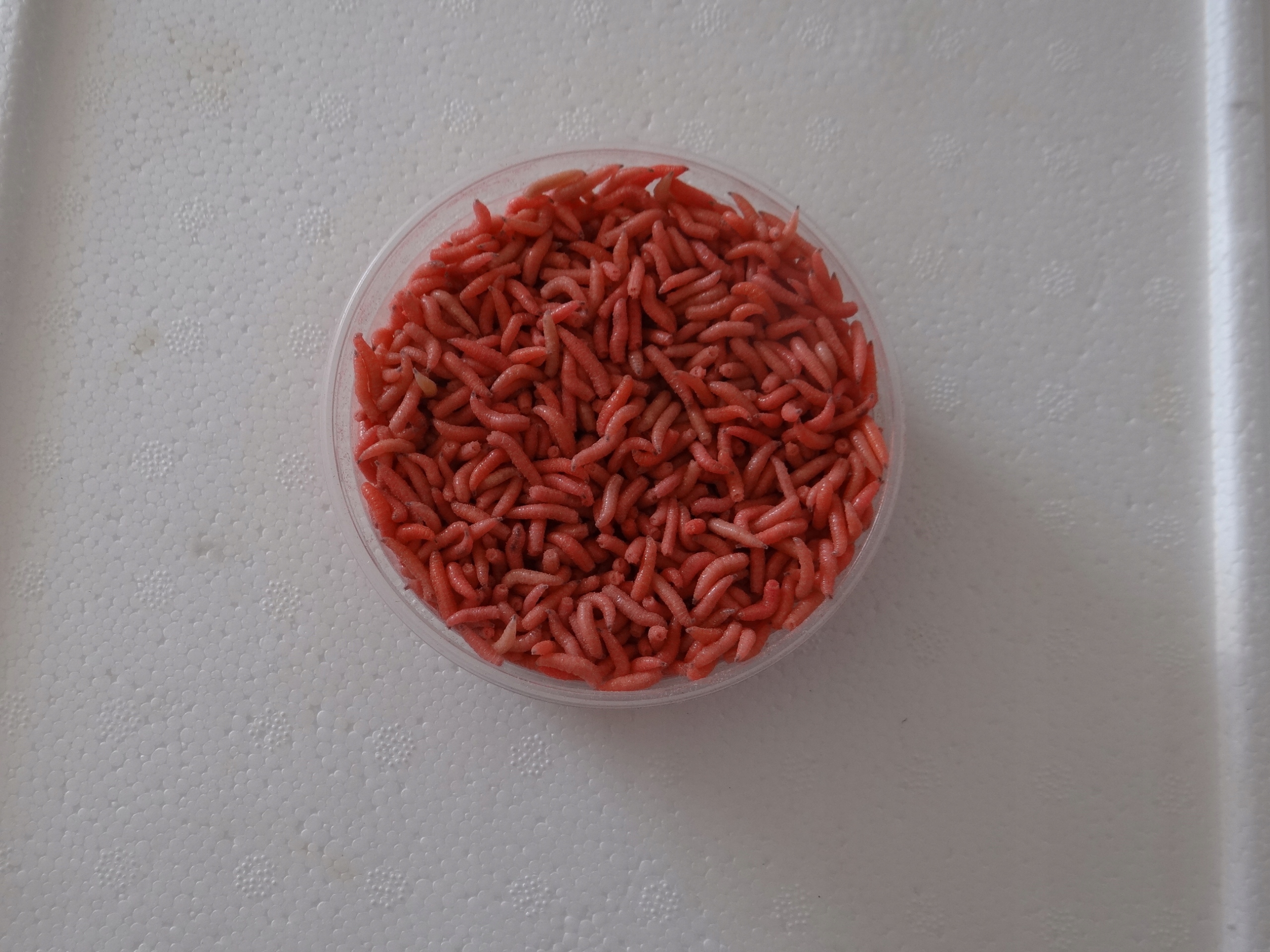 Robak pinka fluo 0,5 litra Marka inna