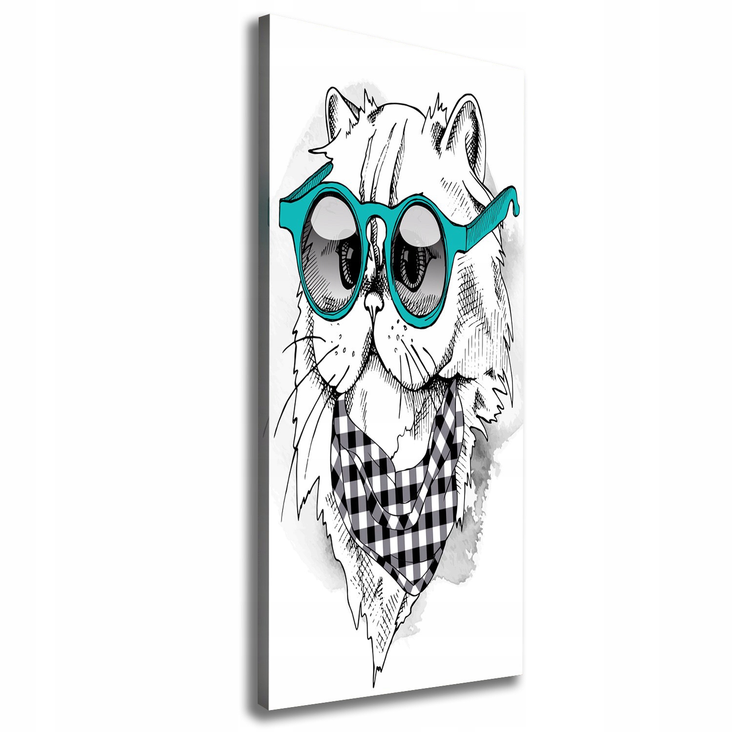 

Foto obraz na płótnie Kot w okularach 50x125 cm