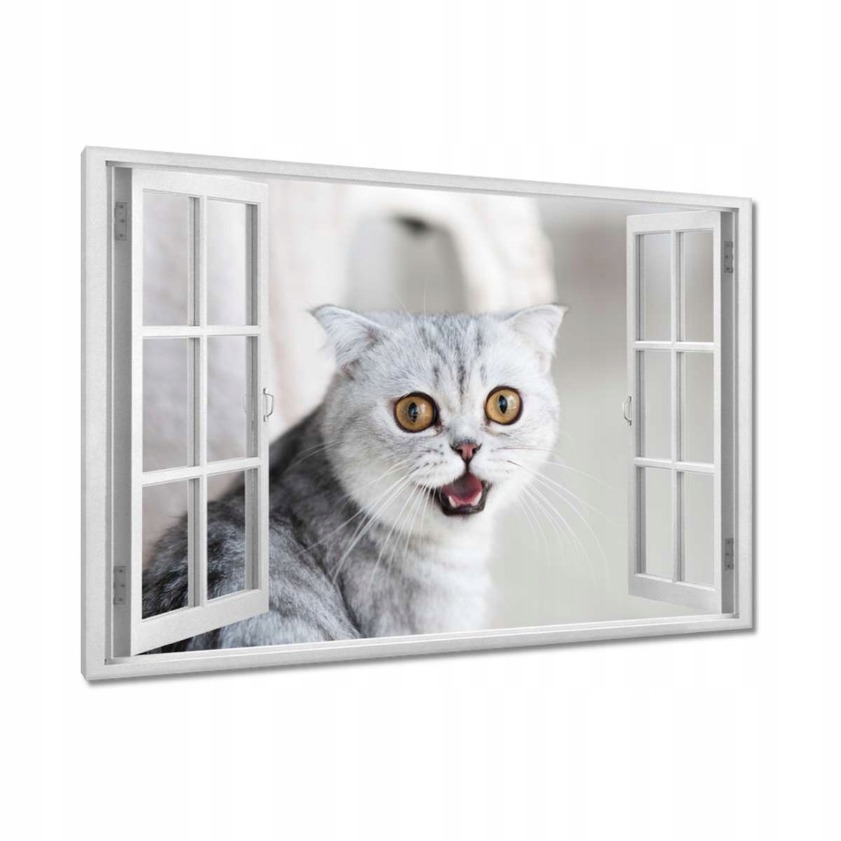 Obrazy 120x80 Kočka Kotě Kočky Kočka