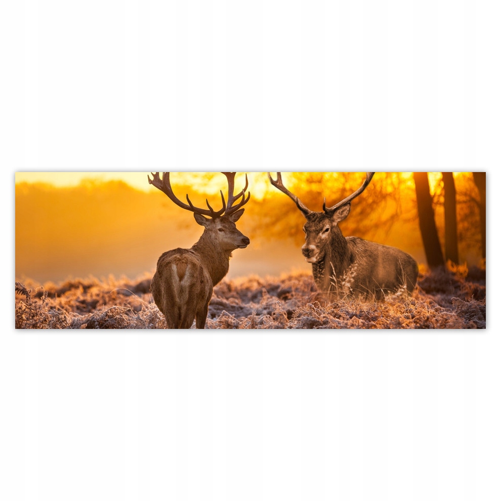 Fototapety flizelina 312x104 Jelení na řevu