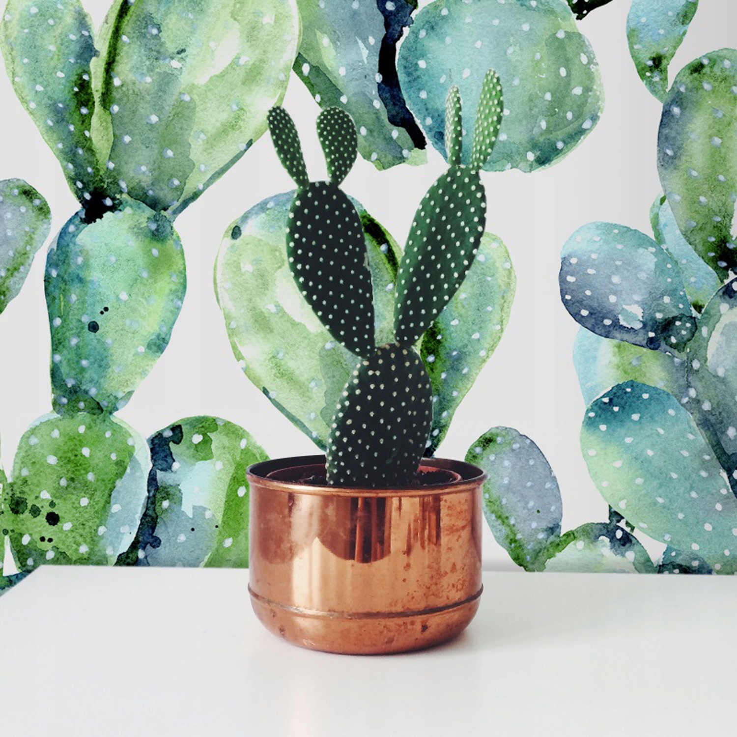 

Samoprzylepna fototapeta Akwarela kaktus 360x250cm