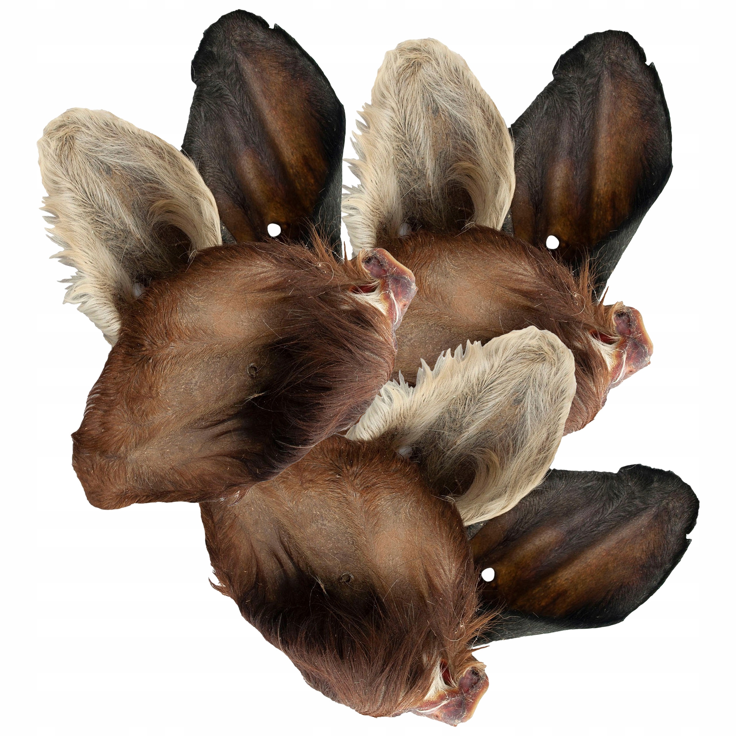 Levně Gaczoo Psí pamlsek Hovězí ucho s chlupy 20 ks přírodní kousátko