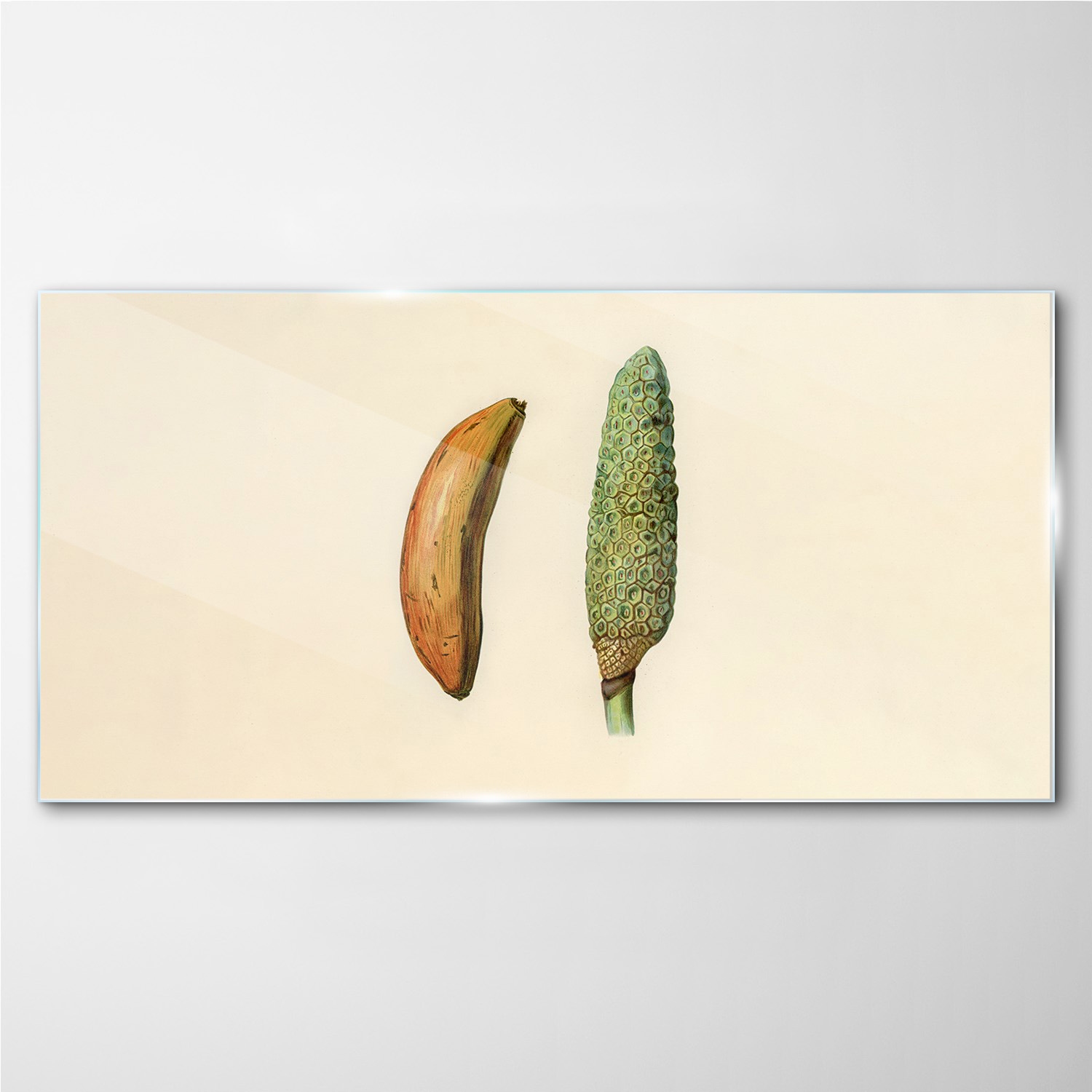 

Foto-obraz na ścianę szklany Owoce banan 140x70 cm