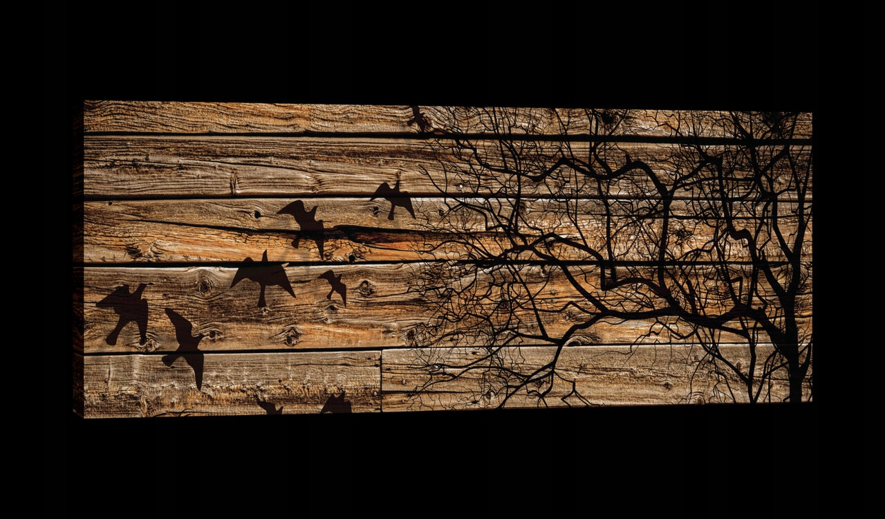 Obraz 145x45 Strom textura rustikální ptáci příroda klid minimalismus