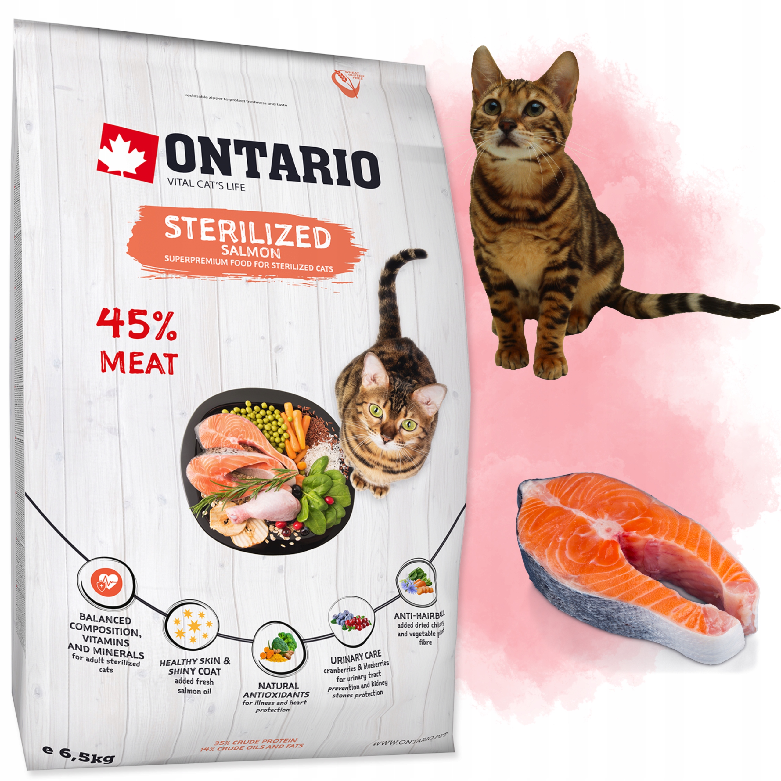 Ontario Cat sucha karma dla kota Sterilised Z Łososiem 6,5kg