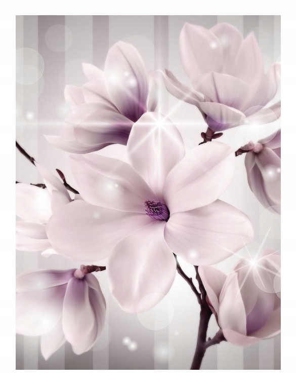 Fototapeta Magnolie vinyl jarní elegance jemné květiny 184x254 lepidlo